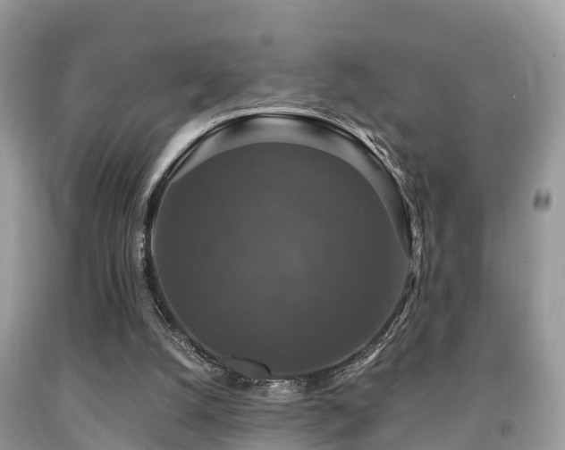 X0000091960056200709061309