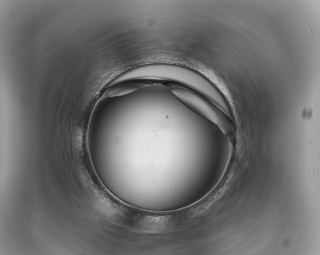 X0000091960057200709061309