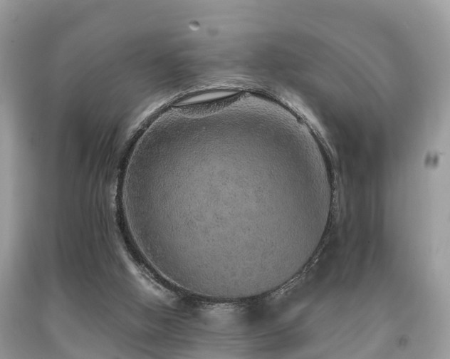 X0000091960058200709061309