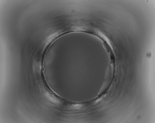 X0000091960059200709061309