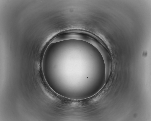 X0000091960060200709061309