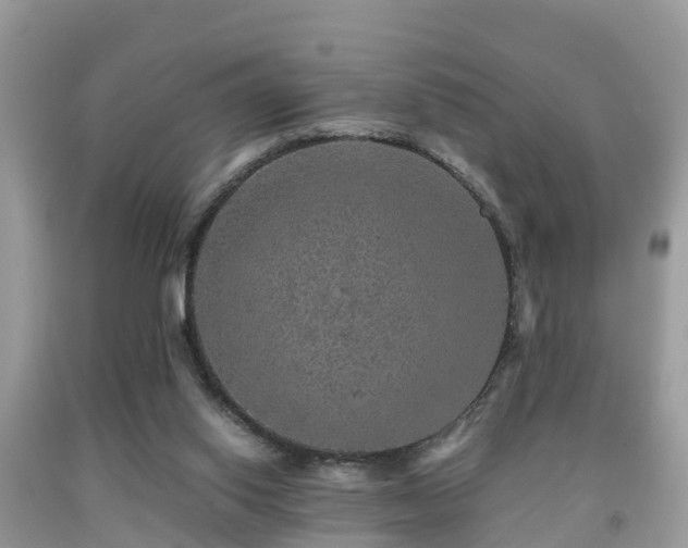 X0000091960062200709061309