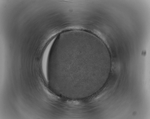 X0000091960063200709061309