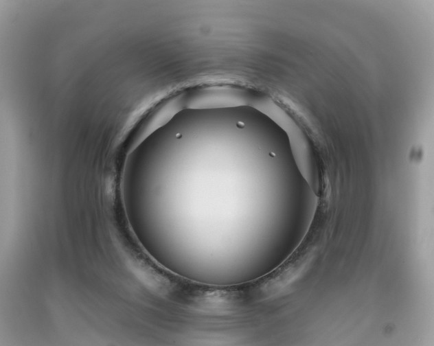 X0000091960064200709061309