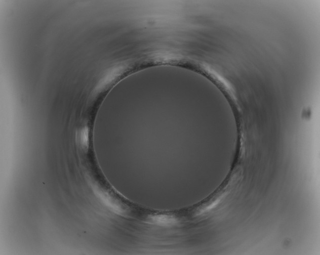 X0000091960067200709061310