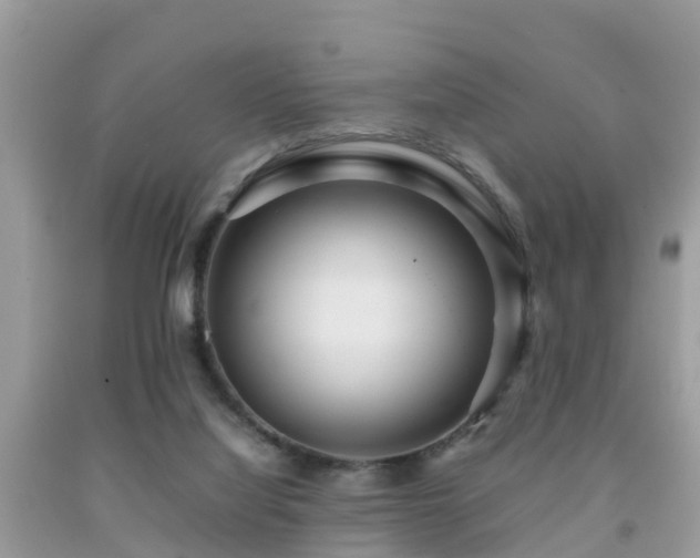 X0000091960068200709061310