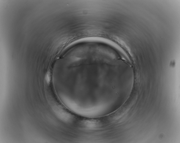 X0000091960069200709061310