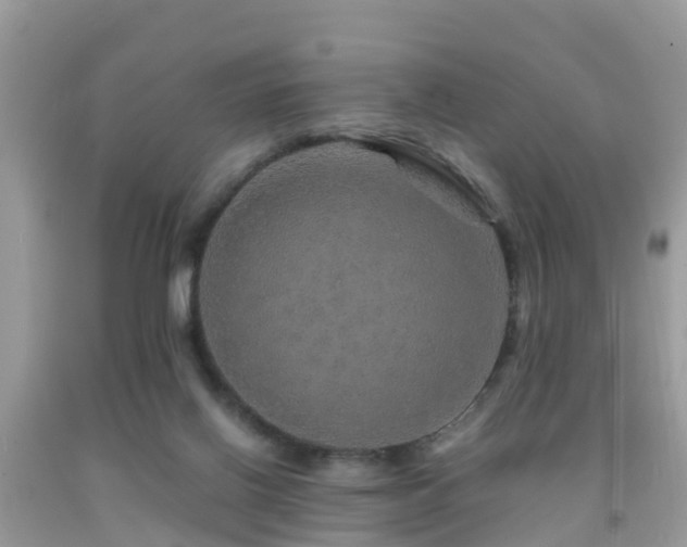 X0000091960070200709061310