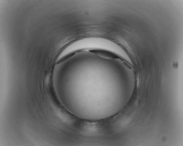 X0000091960071200709061310