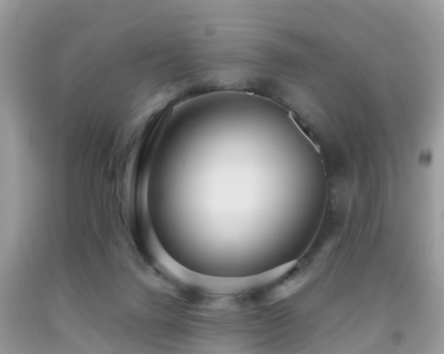 X0000091960072200709061310