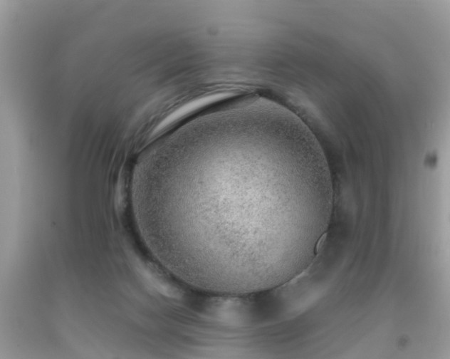 X0000091960074200709061310