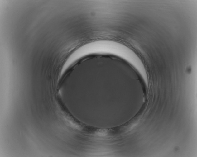 X0000091960076200709061310