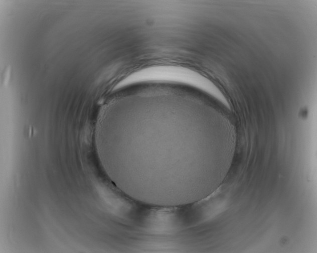 X0000091960078200709061310