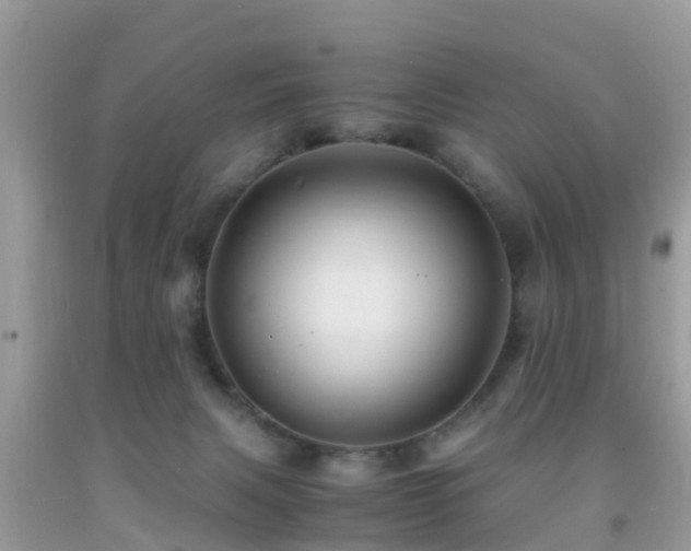 X0000091960079200709061310