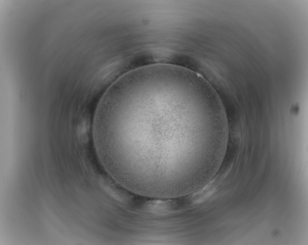 X0000091960082200709061310