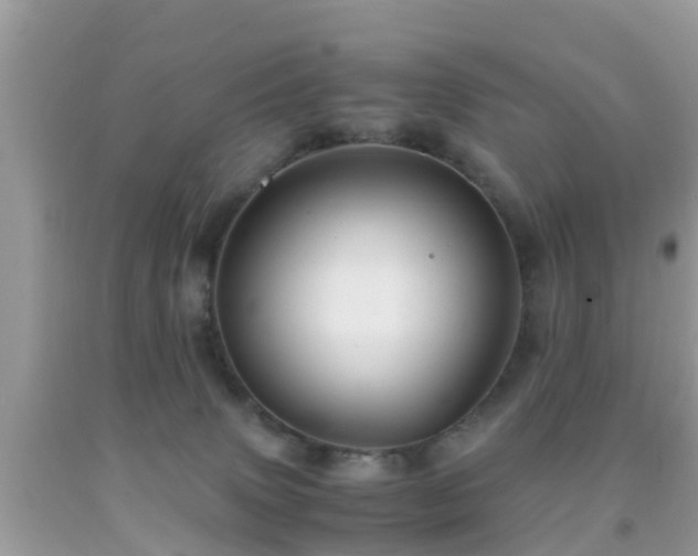 X0000091960083200709061310