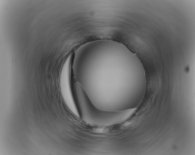 X0000091960084200709061310