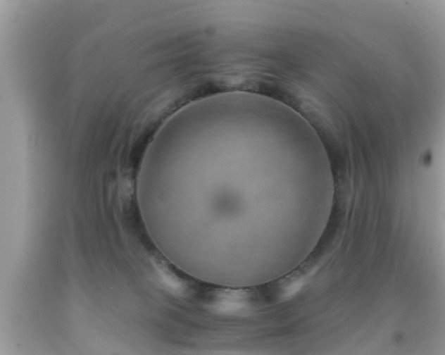 X0000091960085200709061310