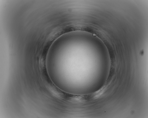 X0000091960086200709061310