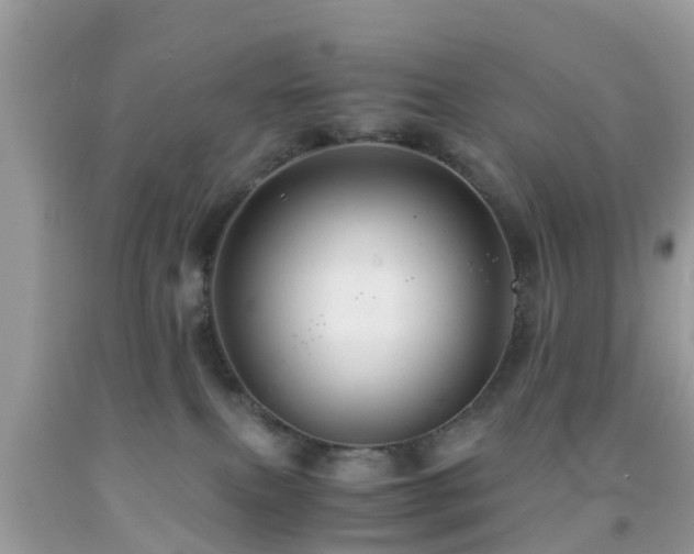 X0000091960087200709061310