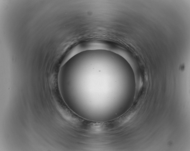 X0000091960088200709061310