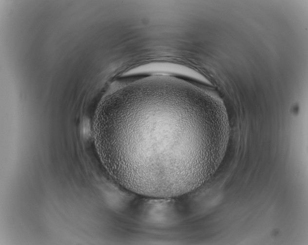 X0000091960089200709061310