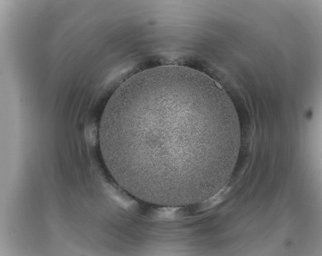 X0000091960090200709061310