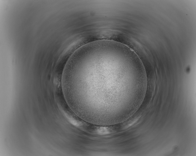 X0000091960091200709061310