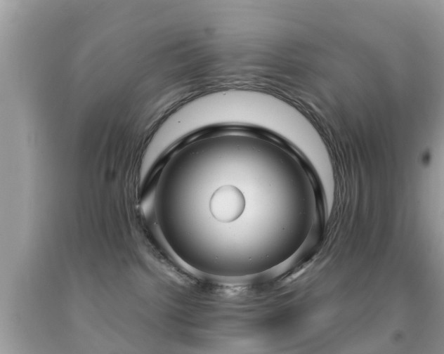 X0000091960092200709061310