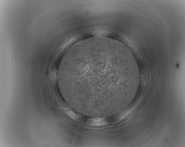 X0000091960093200709061310