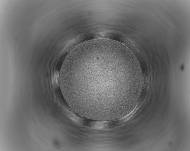 X0000091960094200709061310