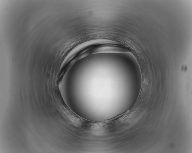 X0000091960096200709061310