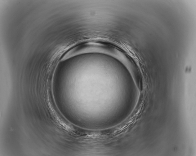 X0000091960097200709061309