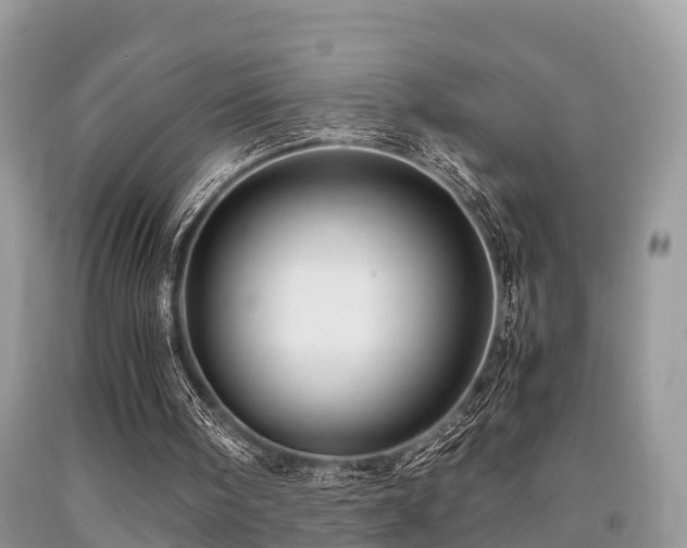 X0000091960098200709061309