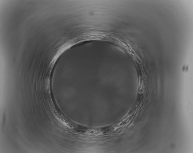 X0000091960099200709061309