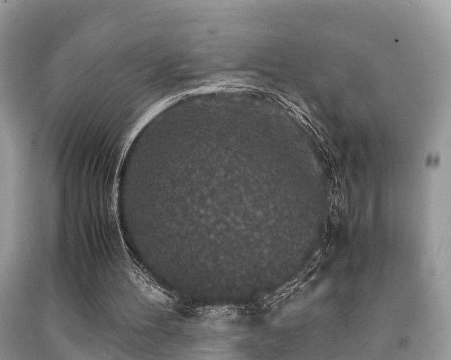 X0000091960100200709061309