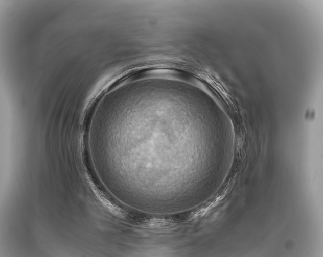 X0000091960101200709061309