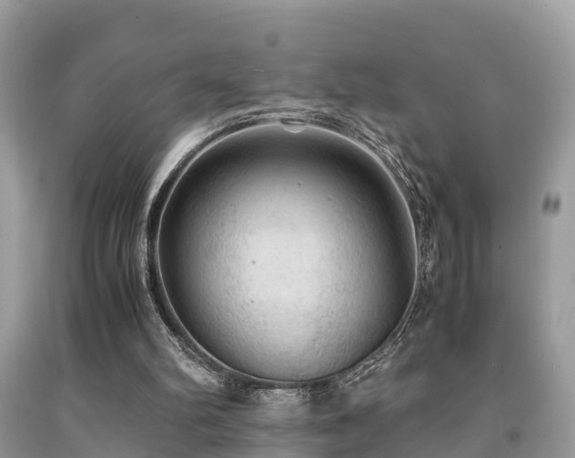 X0000091960102200709061309