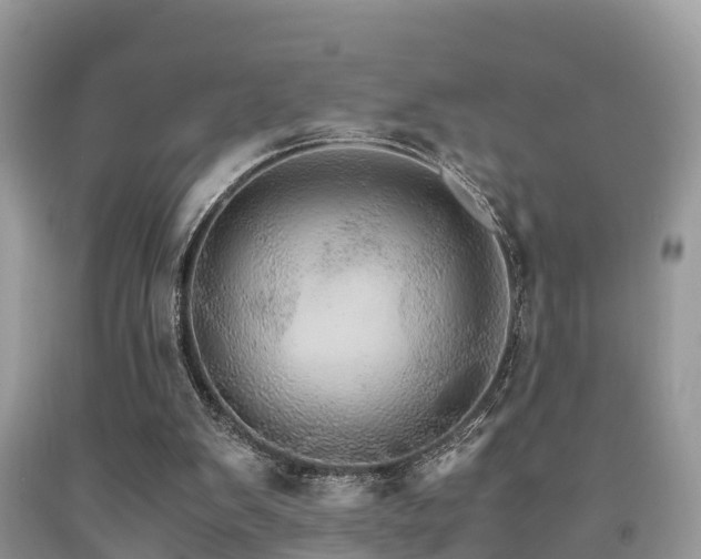 X0000091960103200709061309