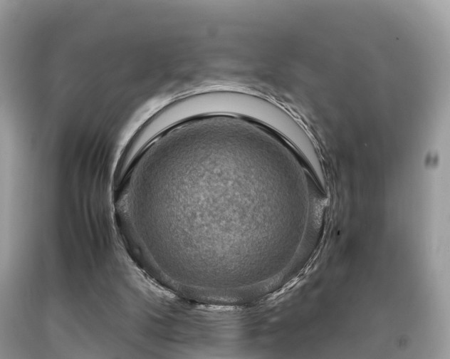 X0000091960104200709061309