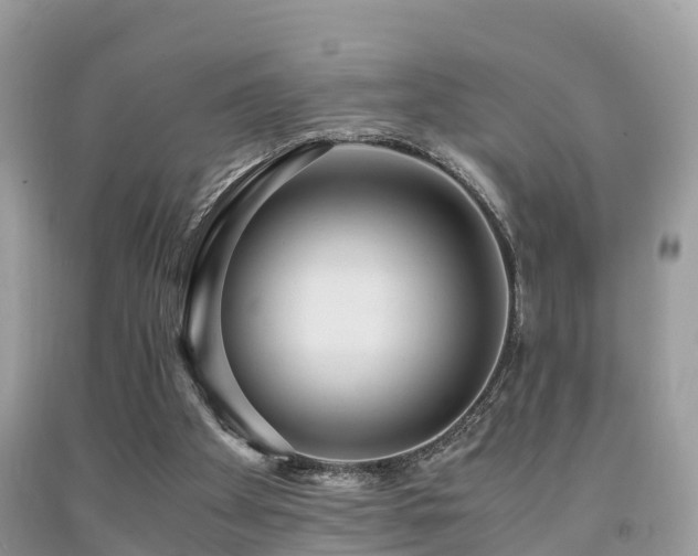 X0000091960105200709061309