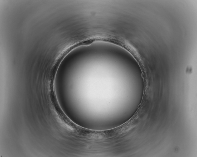 X0000091960106200709061309