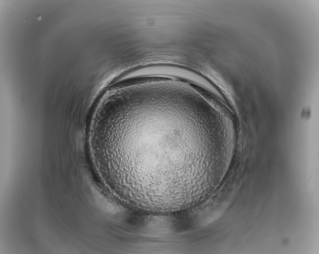 X0000091960107200709061309