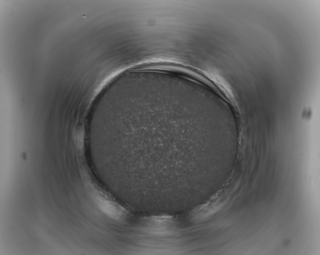 X0000091960108200709061309