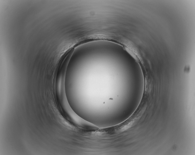 X0000091960109200709061309