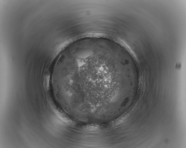 X0000091960110200709061309