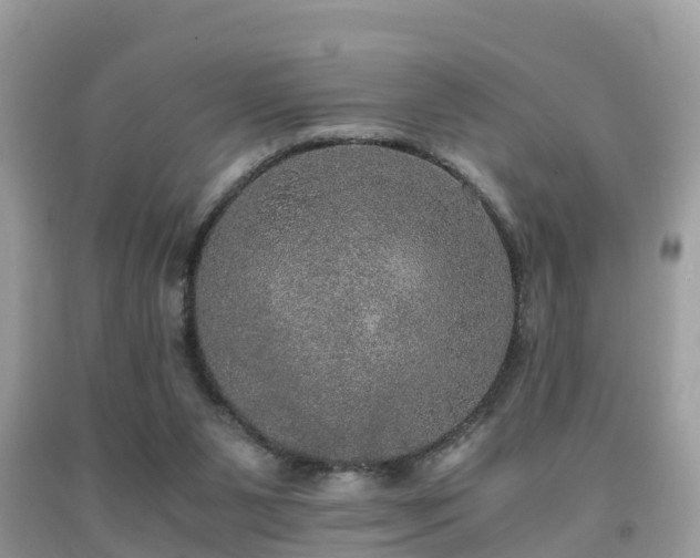 X0000091960111200709061309