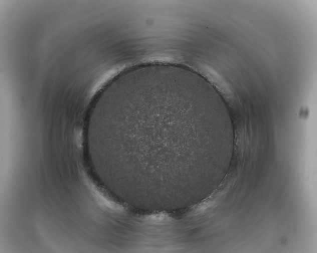 X0000091960112200709061309