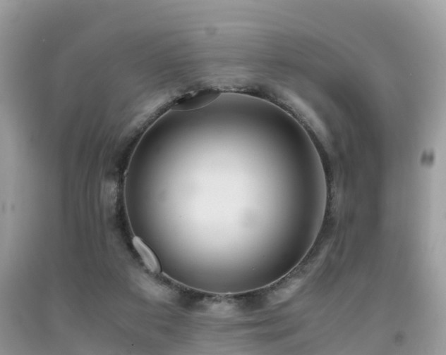 X0000091960113200709061309