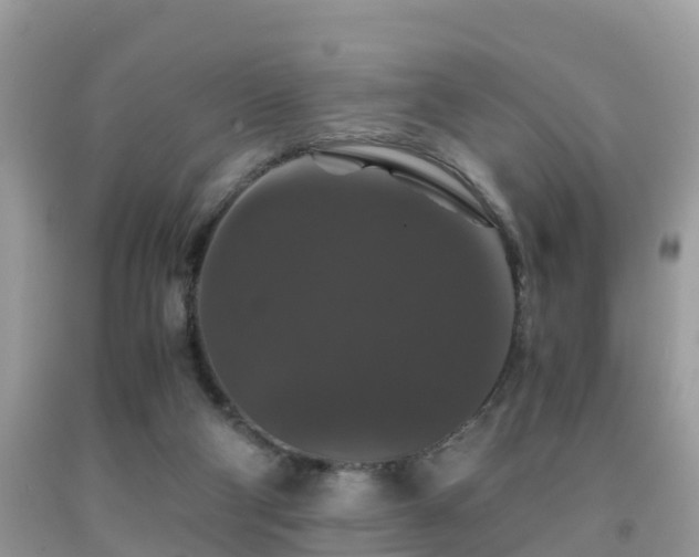 X0000091960114200709061309